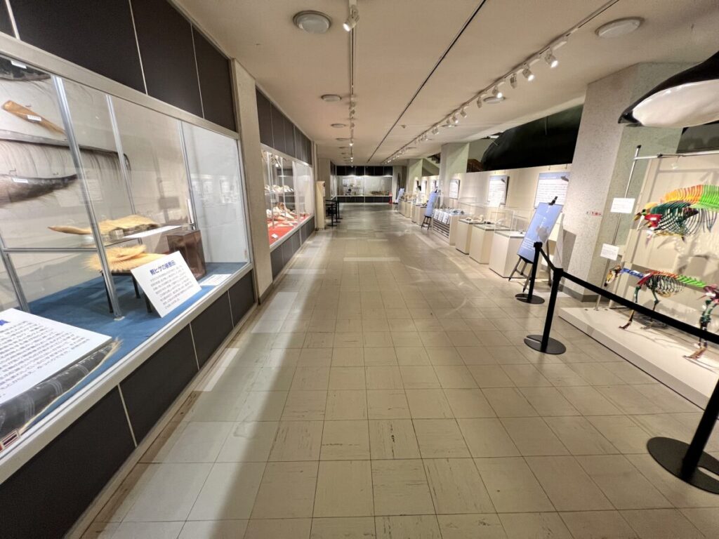 和歌山 太地町 くじらの博物館