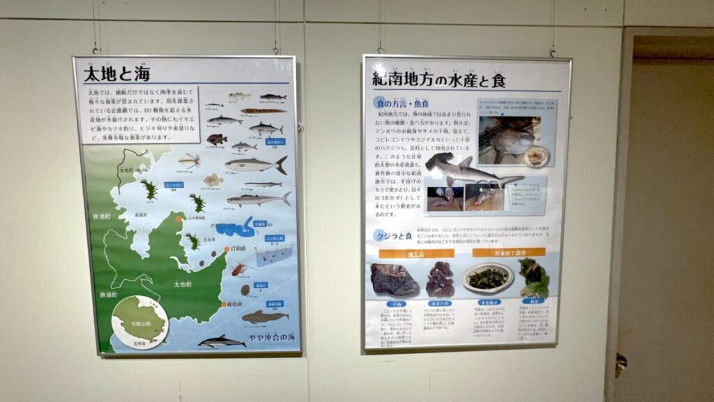 和歌山 太地町 くじらの博物館