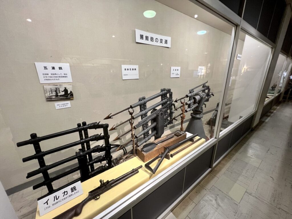和歌山 太地町 くじらの博物館