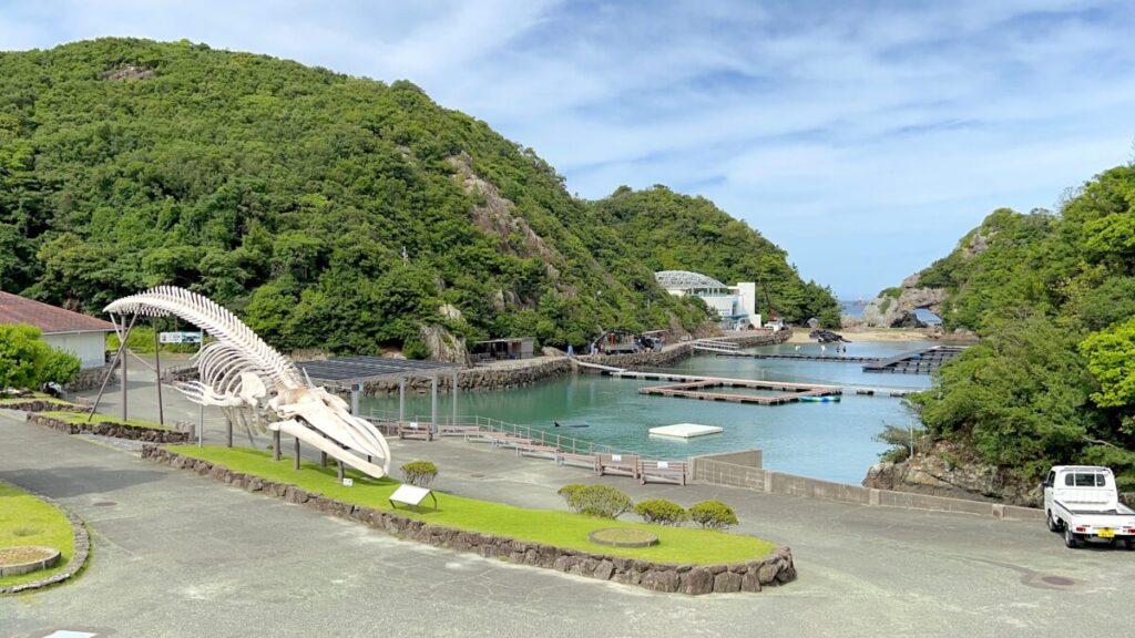 和歌山 太地町 くじらの博物館 イルカ・クジラショー