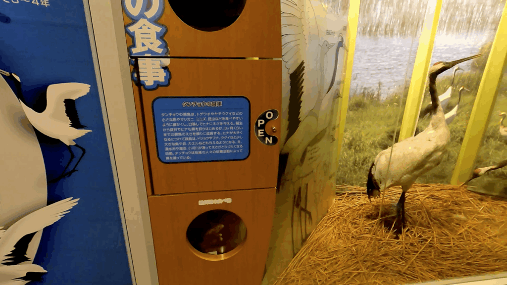 釧路市湿原展望台 展示物
