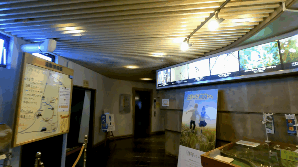 釧路市湿原展望台 展示物 1F
