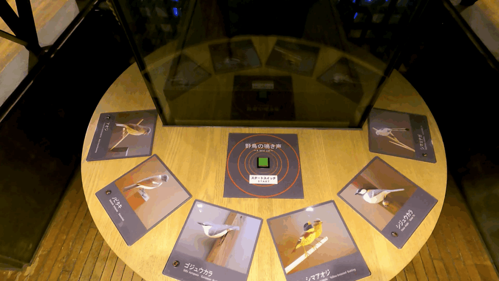 釧路市湿原展望台 展示物 鳥の声