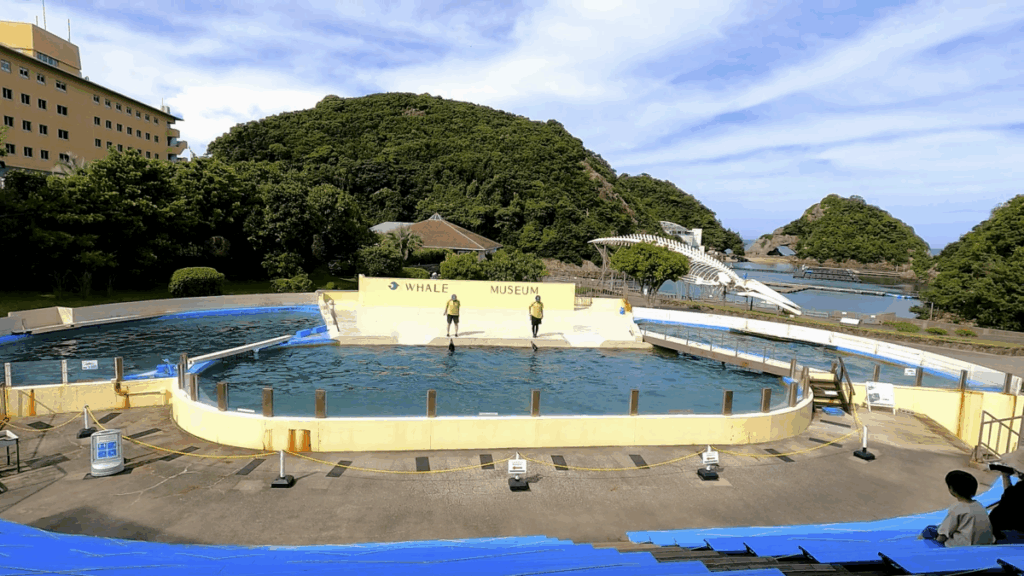 和歌山 太地町 くじらの博物館 イルカ・クジラショー