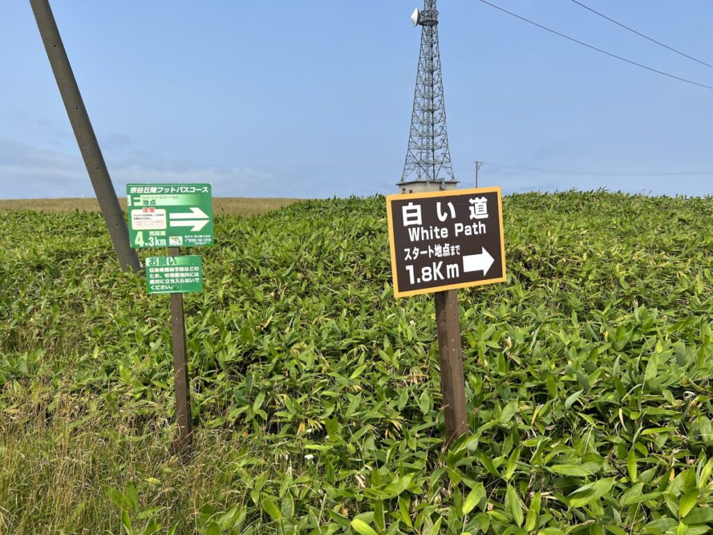 稚内空港 周辺情報 白い道