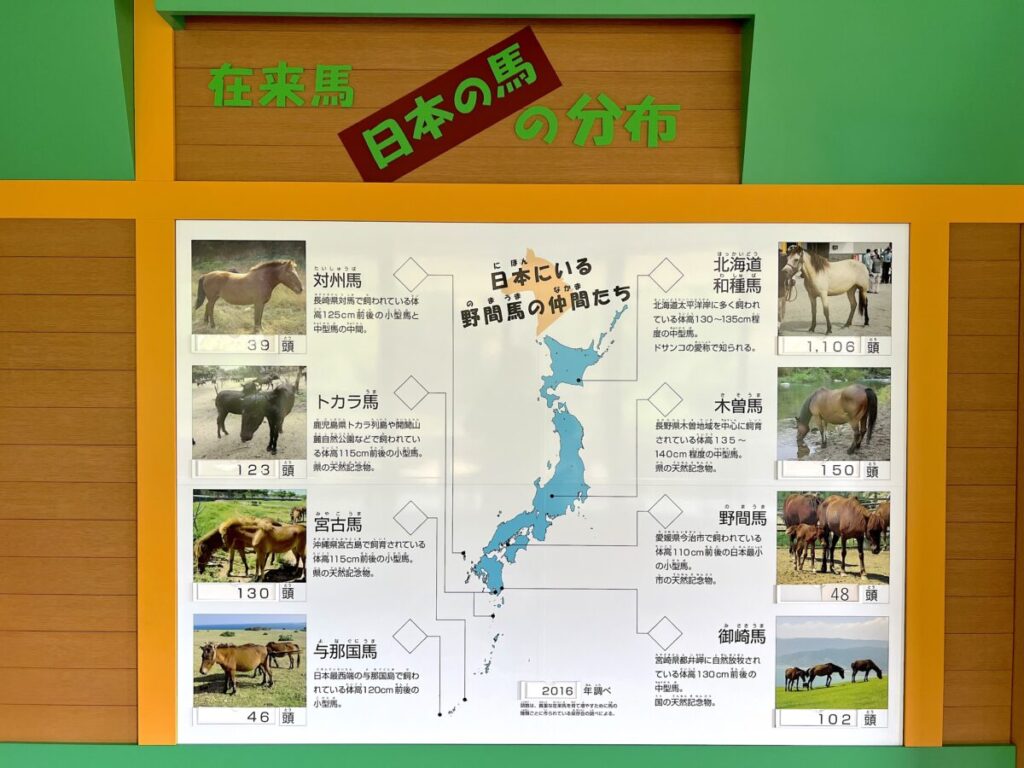 日本在来馬 8種類