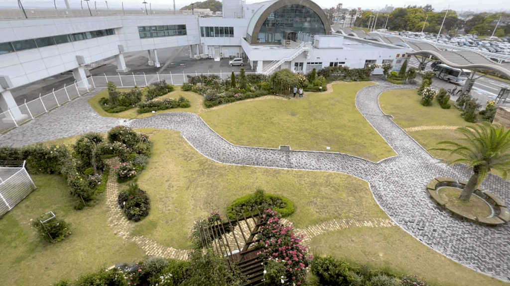 山口宇部空港 バラ園