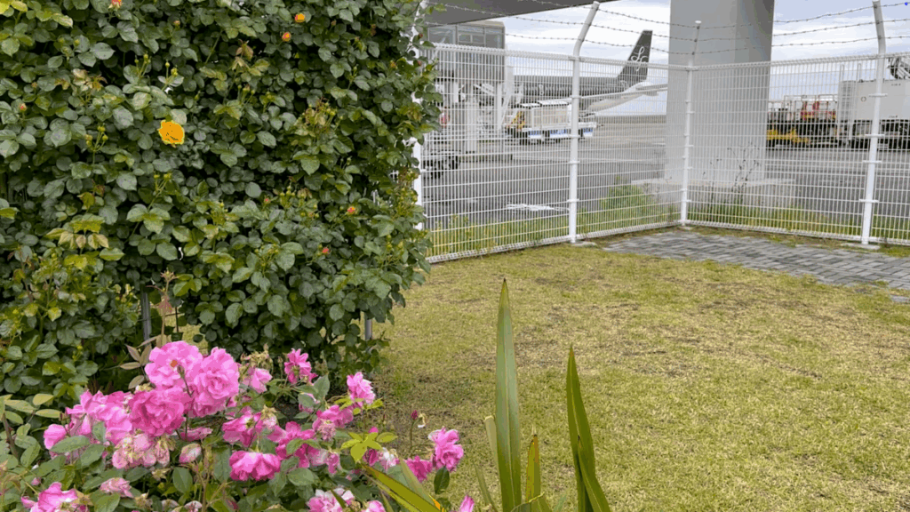 山口宇部空港 バラ園