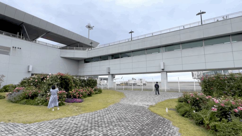 山口宇部空港 バラ園