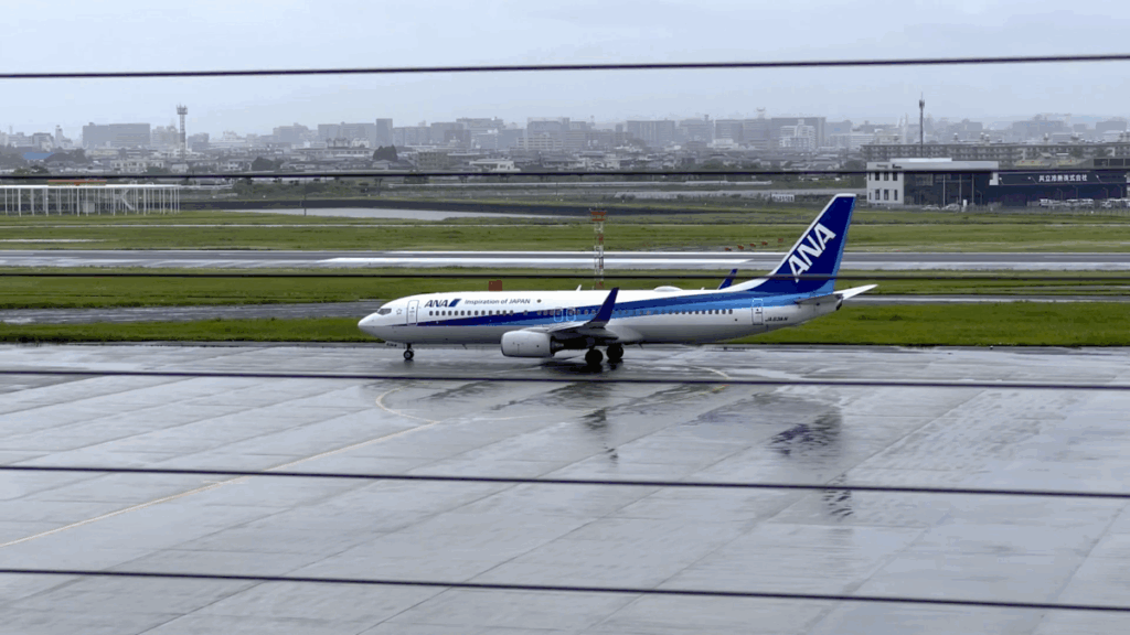 宮崎空港 展望デッキ 飛行機到着