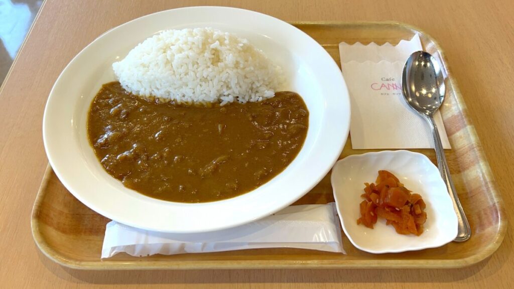 宮崎空港 カフェ カンナ カレーライス
