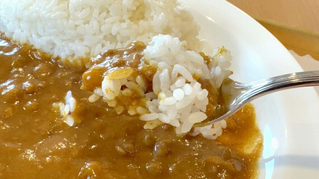 宮崎空港 レストラン カフェ カンナ カレーライス