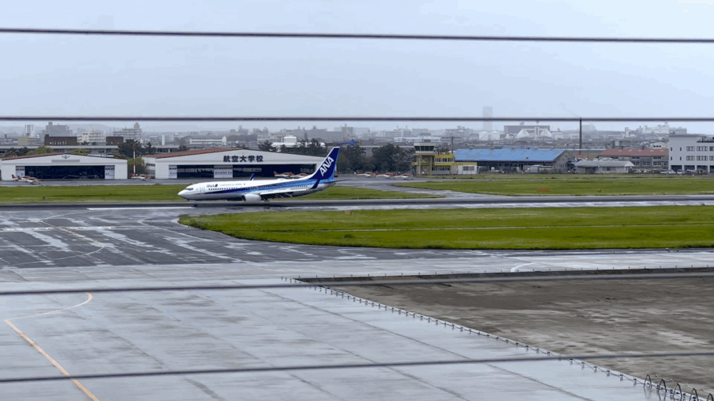 宮崎空港 展望デッキ 飛行機到着