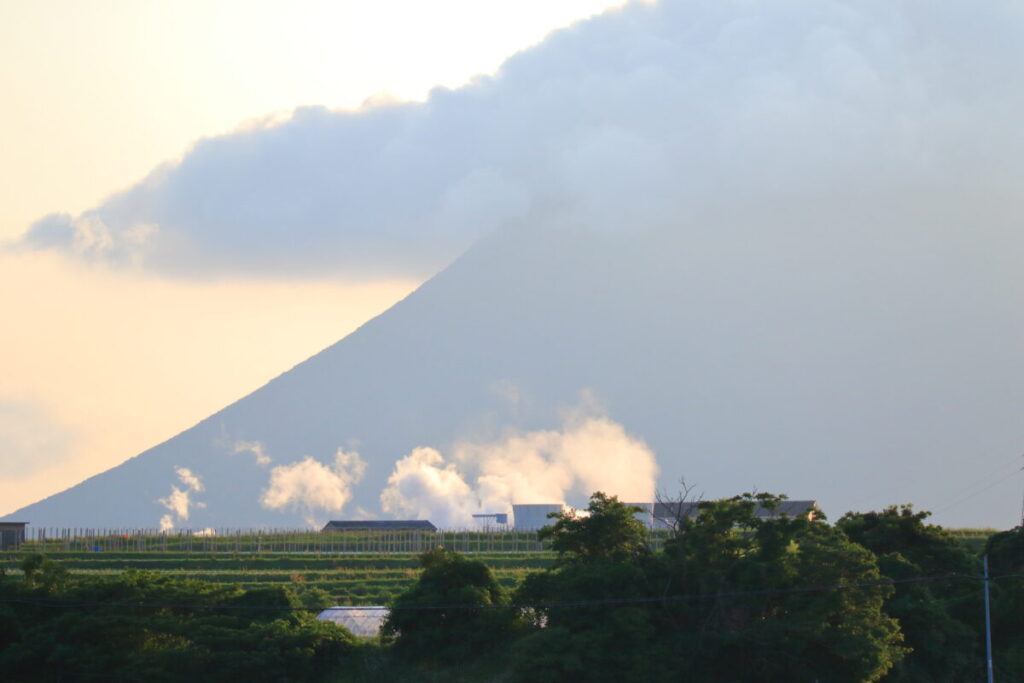 トカラ馬 開聞山 山川発電所展示室