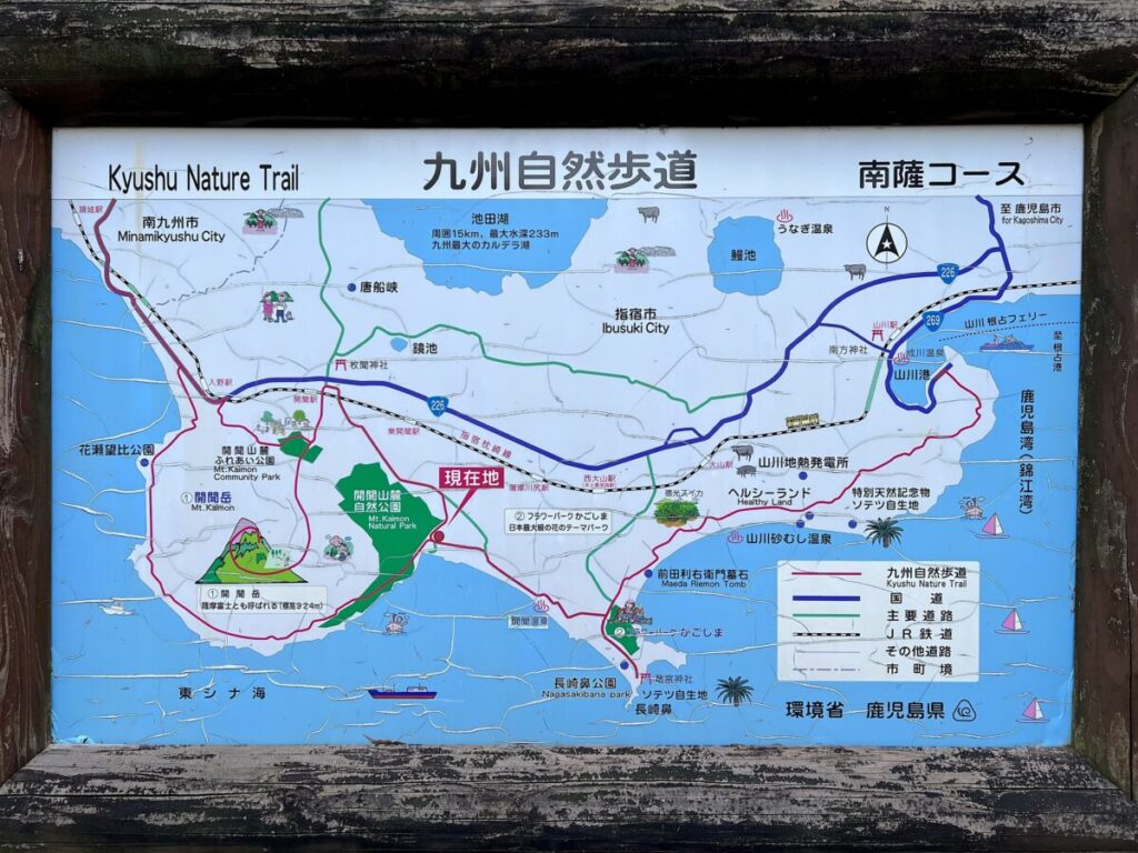 トカラ馬 開聞山麓自然公園 トカラ放牧場
