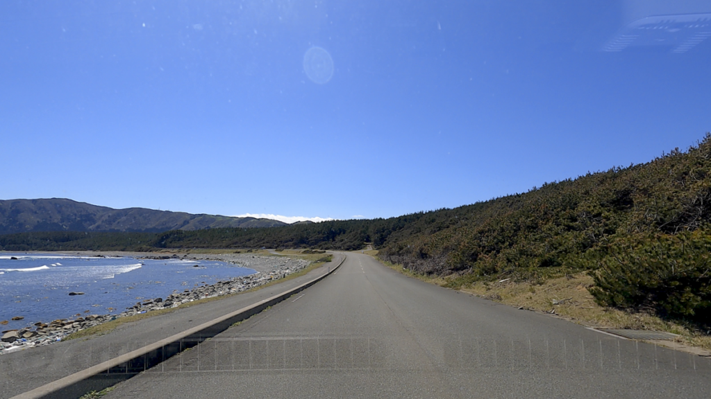 寒立馬 尻屋崎放牧場 道路 絶景