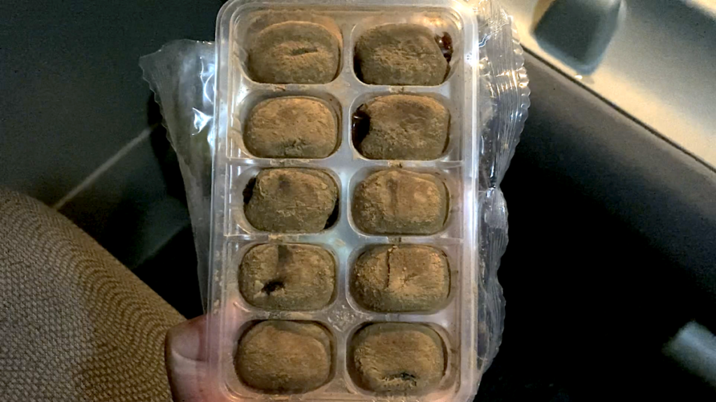 寒立馬 尻屋埼放牧場 車中泊