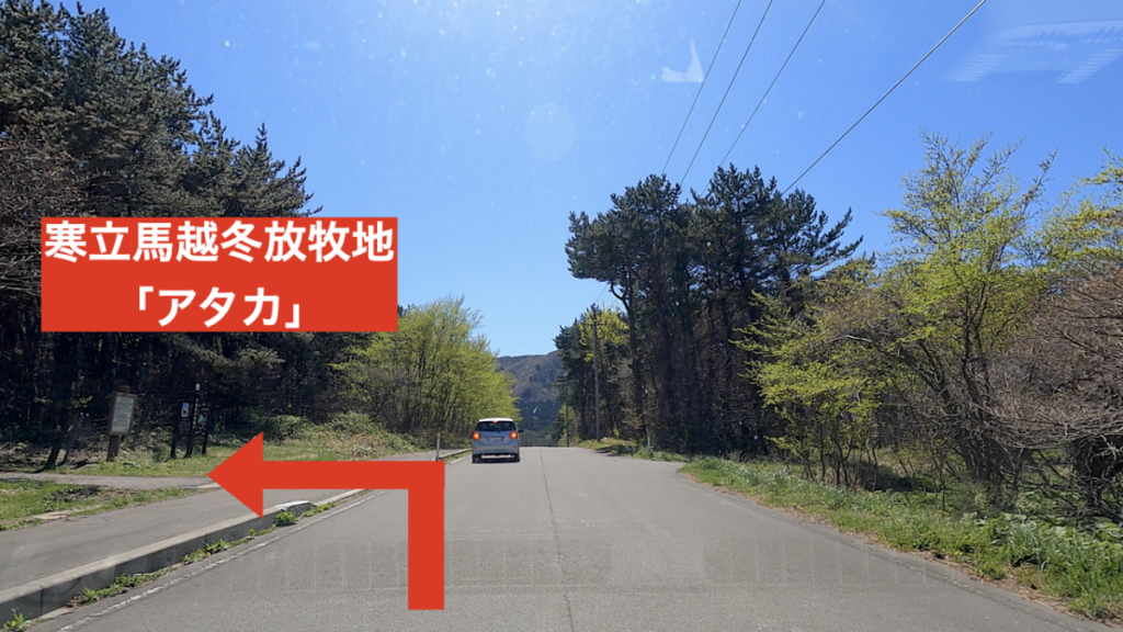 寒立馬越冬放牧地アカタ アクセス