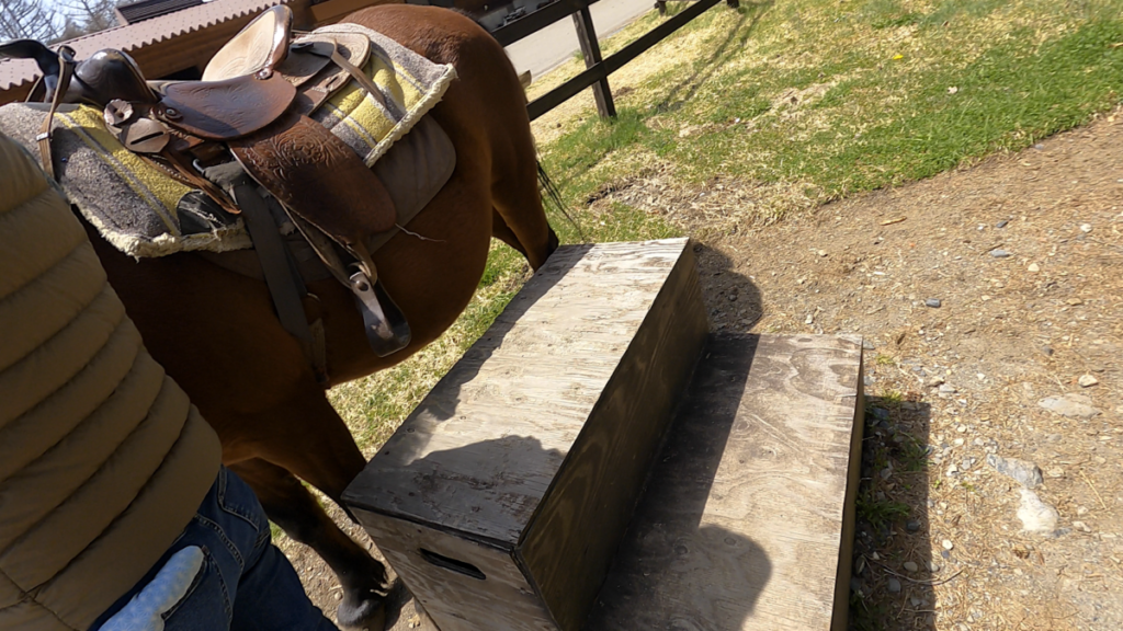 日本在来馬 木曽馬 木曽馬の里 乗馬体験 踏み台