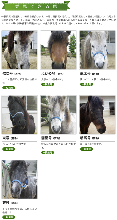 野間馬 野間馬ハイランド 乗馬できる馬