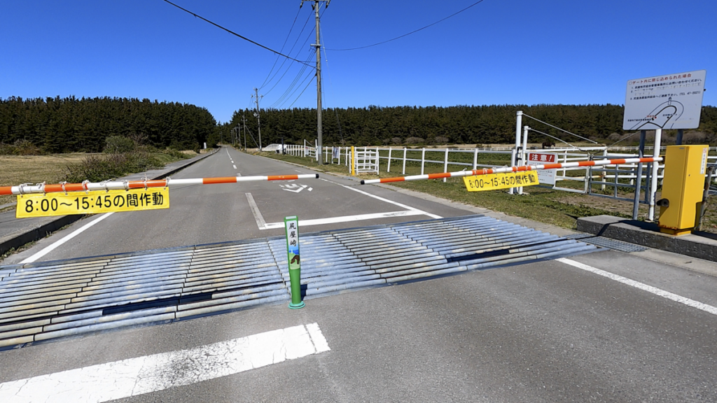 寒立馬 尻屋崎放牧場 入り口ゲート 開閉時間