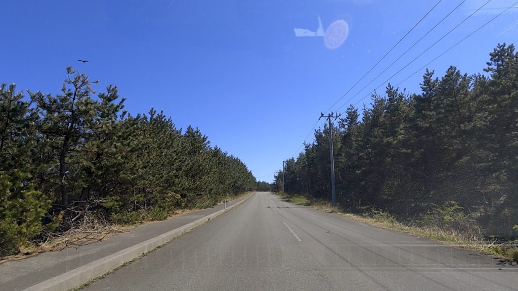 寒立馬 尻屋崎放牧場 道路 絶景