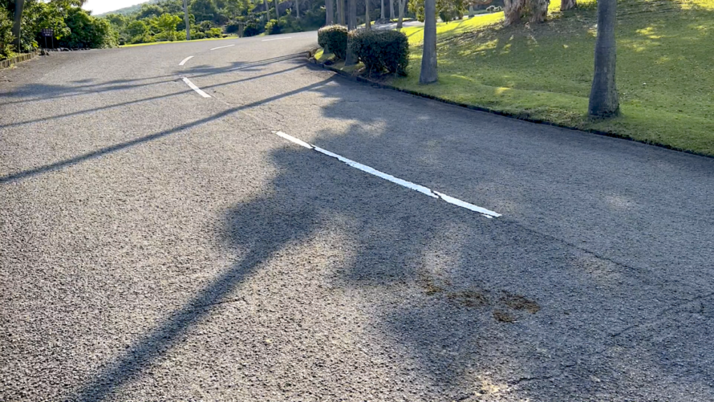 トカラ馬 開聞山麓自然公園 トカラ馬放牧場 糞 片付け