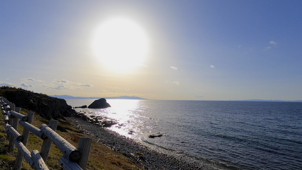 寒立馬 尻屋埼放牧場 徒歩 夕陽