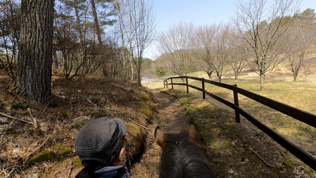 日本在来馬 木曽馬 木曽馬の里 乗馬体験 菜々ちゃん 視界開ける