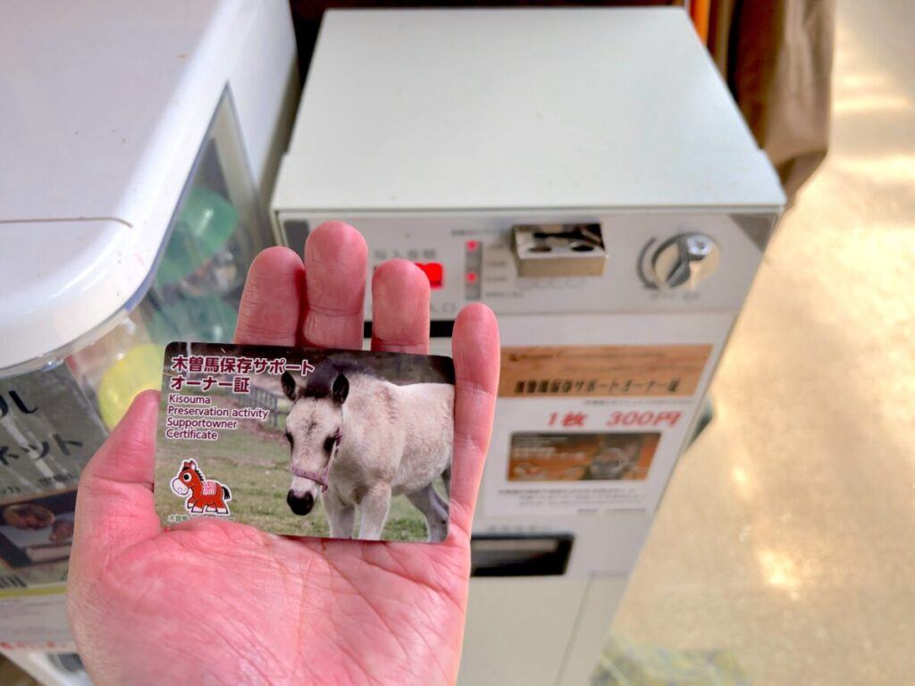 日本在来馬 木曽馬 木曽馬の里 厩舎内 木曽馬保存サポートオーナー