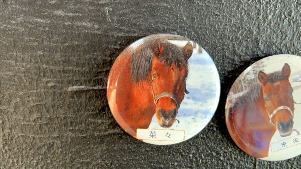 日本在来馬 木曽馬 木曽馬の里 乗馬体験 菜々ちゃん