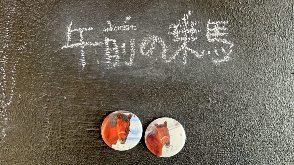 日本在来馬 木曽馬 木曽馬の里 乗馬体験 菜々ちゃん