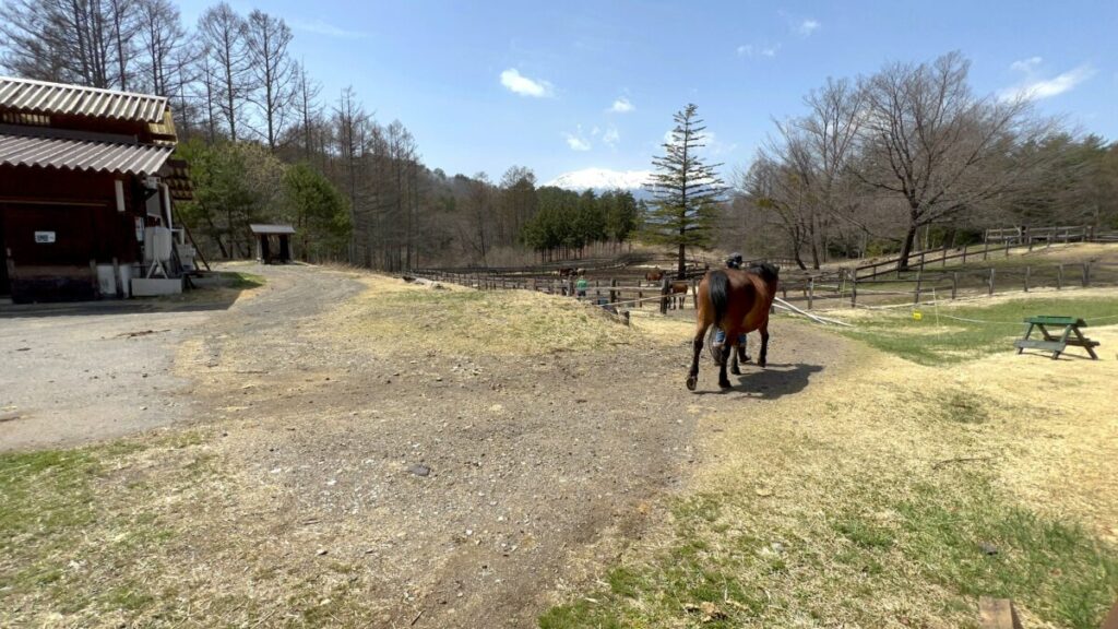 日本在来馬 木曽馬 木曽馬の里 厩舎