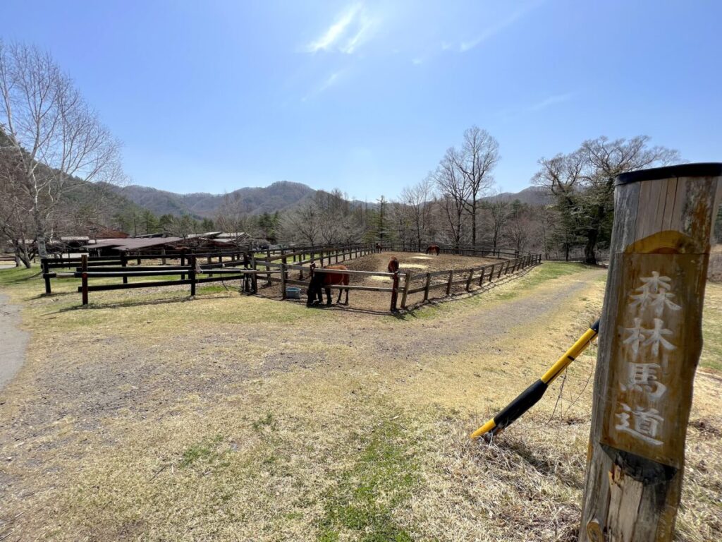 日本在来馬 木曽馬 木曽馬の里 初対面