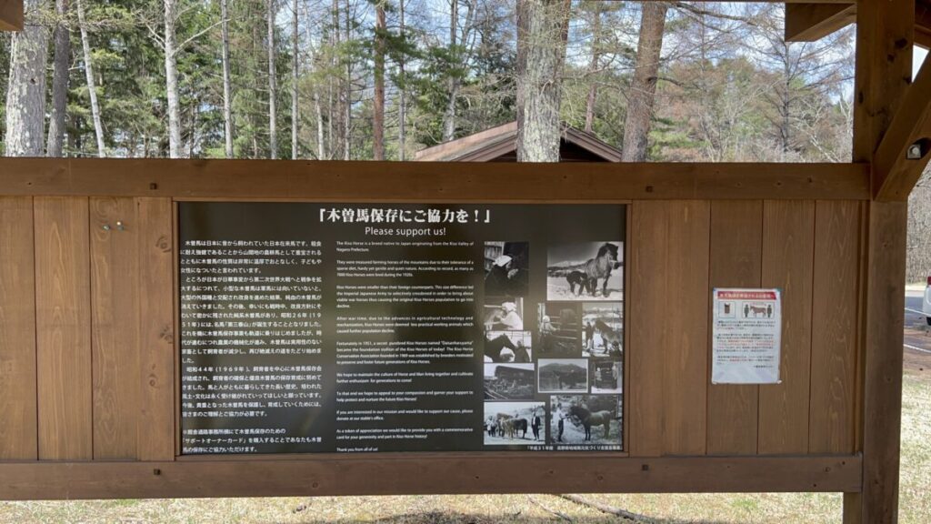 日本在来馬 木曽馬 木曽馬の里 駐車場