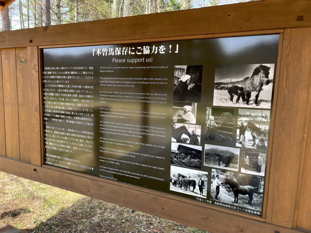 日本在来馬 木曽馬 木曽馬の里 駐車場