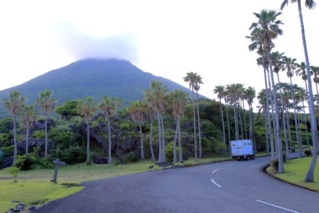 トカラ馬 開聞山麓自然公園 開聞岳