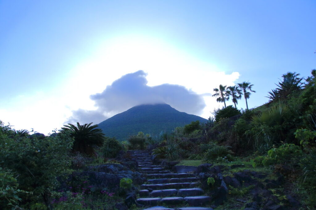 トカラ馬 開聞山麓自然公園 開聞岳