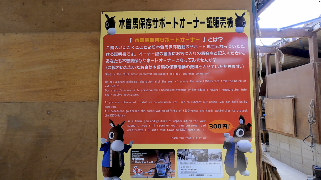 日本在来馬 木曽馬 木曽馬の里 厩舎内 木曽馬保存サポートオーナー