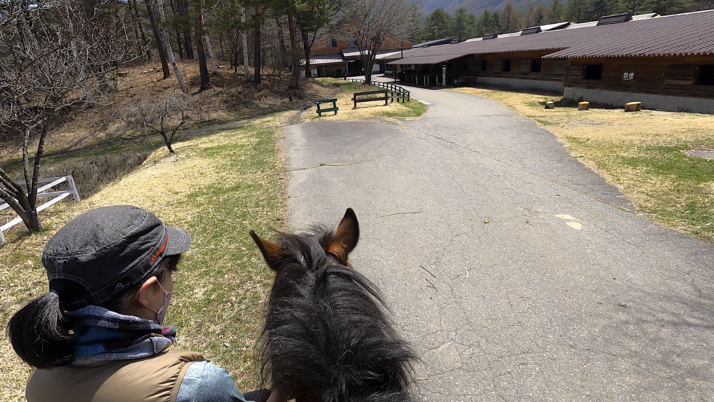 日本在来馬 木曽馬 木曽馬の里 乗馬体験
