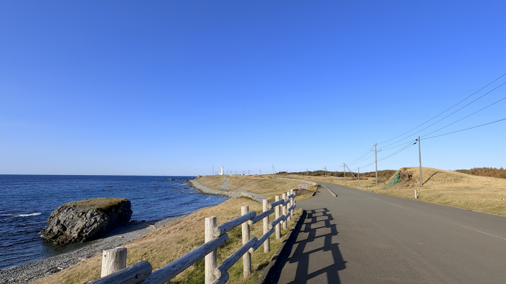 寒立馬 尻屋埼放牧場 徒歩