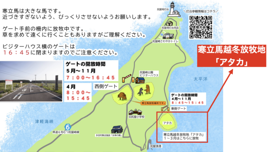 寒立馬越冬放牧地アカタ