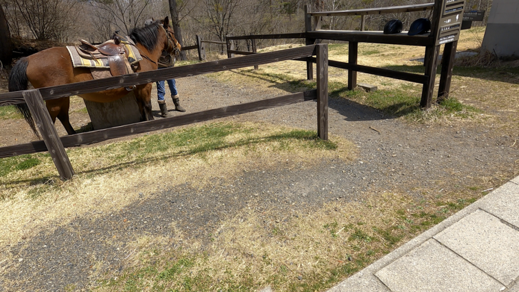 日本在来馬 木曽馬 木曽馬の里 乗馬体験