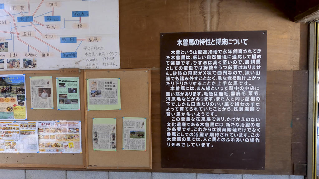日本在来馬 木曽馬 木曽馬の里 厩舎内