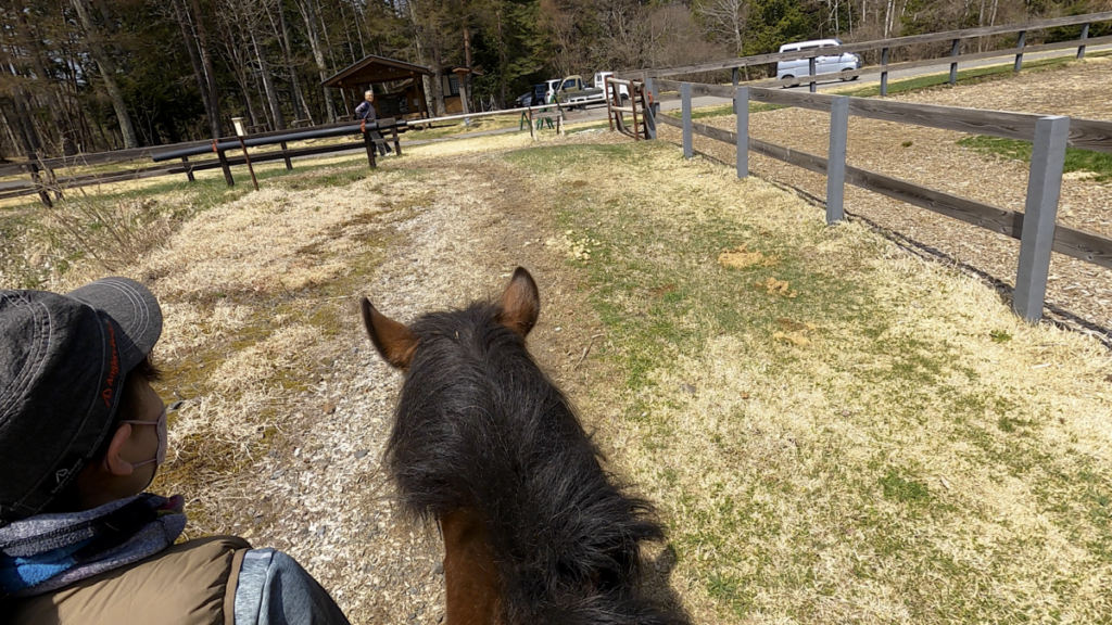 日本在来馬 木曽馬 木曽馬の里 乗馬体験
