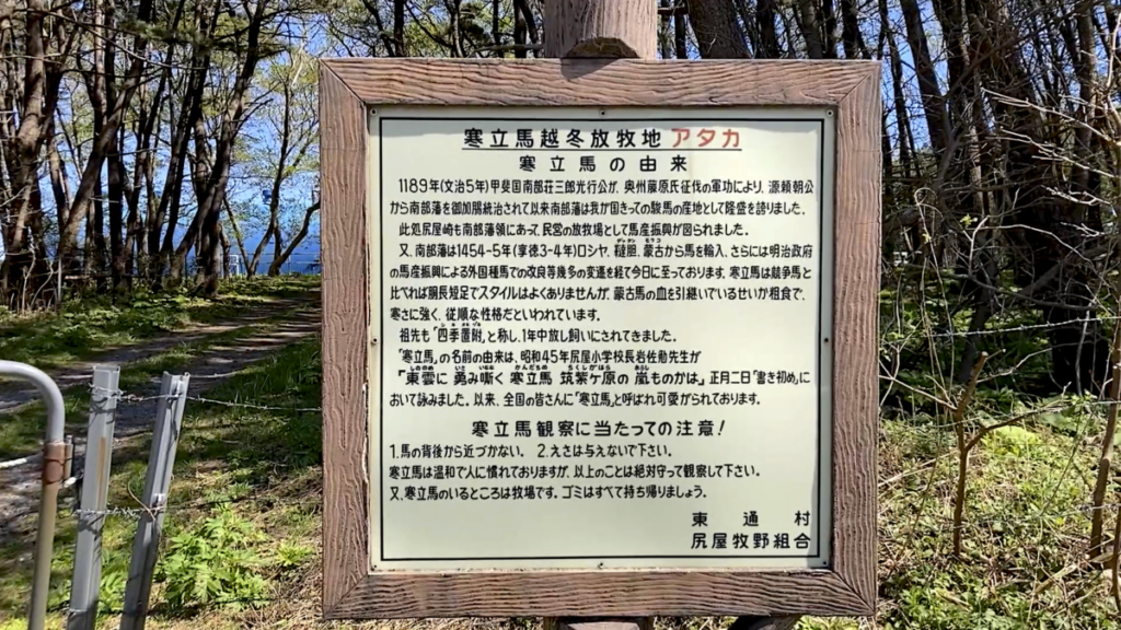 寒立馬越冬放牧地アカタ