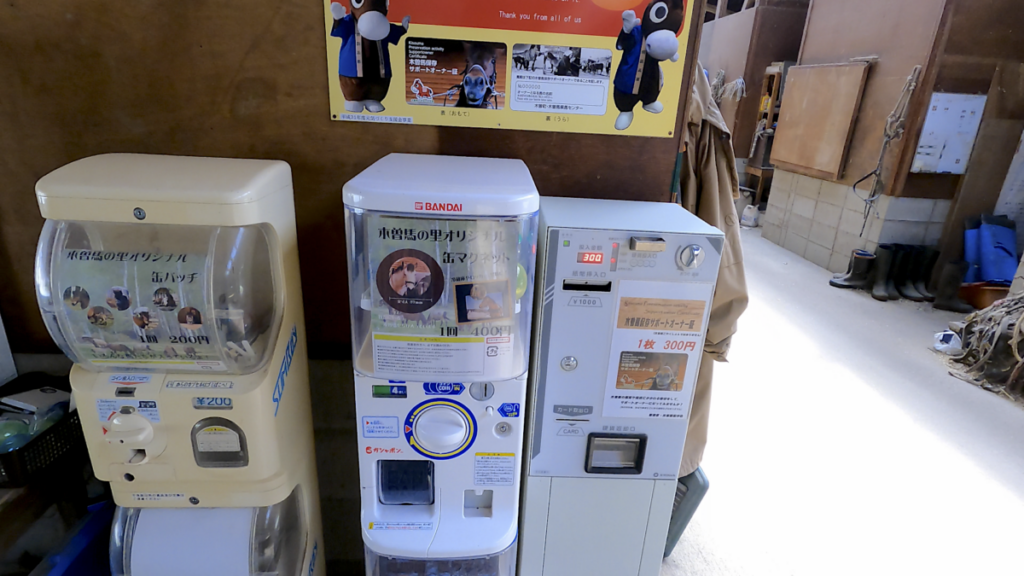 日本在来馬 木曽馬 木曽馬の里 厩舎内 木曽馬保存サポートオーナー