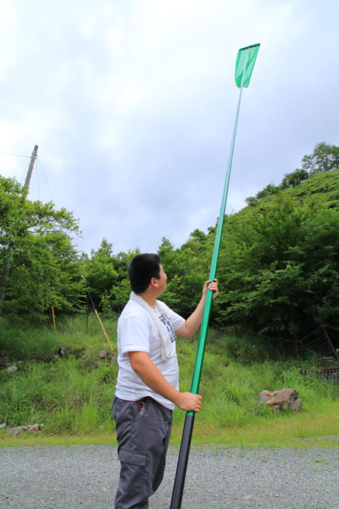 2019/07/17 足尾撮影 アサギマダラ