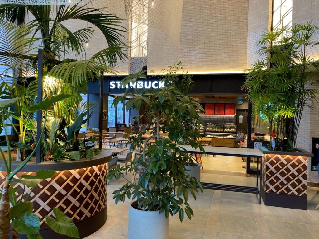 スタバ 全国制覇 スターバックスコーヒー 大同生命札幌ビル ミレド2階店