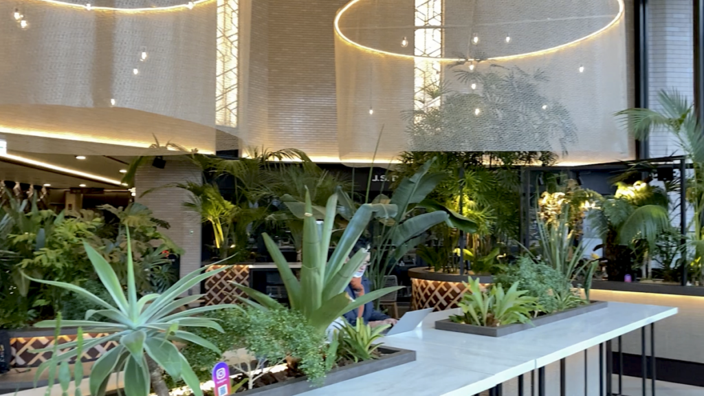 スタバ 全国制覇 スターバックスコーヒー 大同生命札幌ビル ミレド2階店